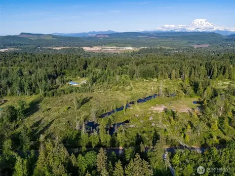 25867 150th Avenue E Graham WA 98338
