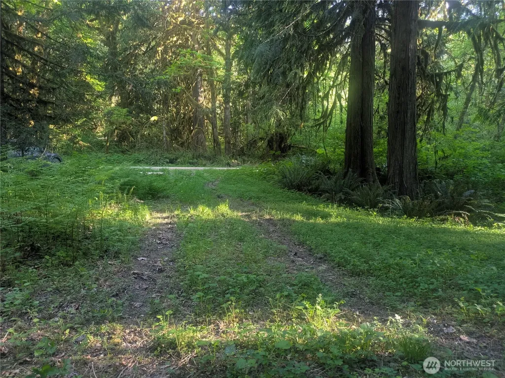 63323 W Cascade Way Marblemount WA 98267