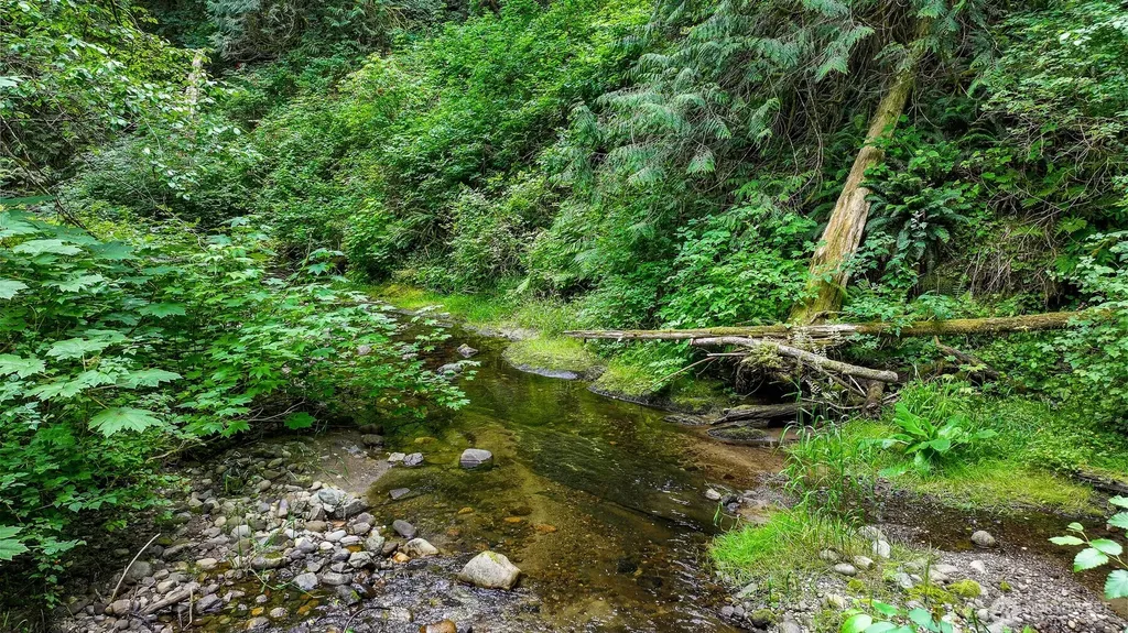21 Austin Creek Lane Bellingham WA 98229