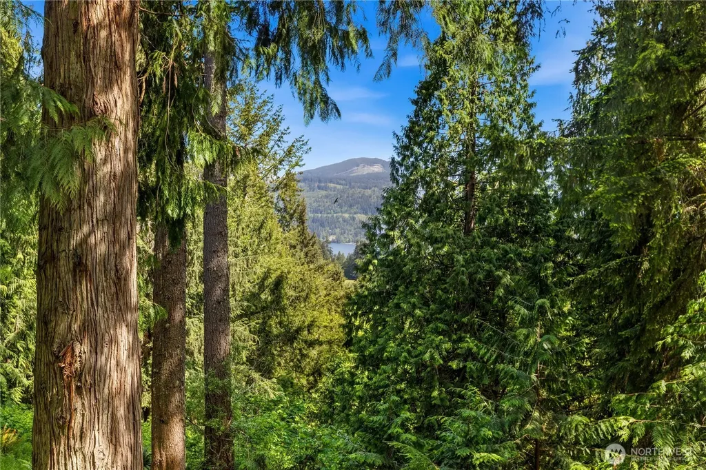 4 Gooseberry Circle Bellingham WA 98229