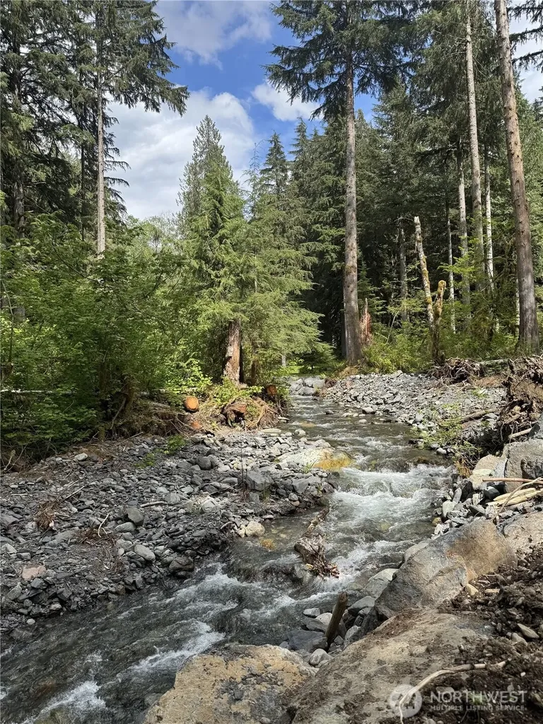 10707 Thompson Creek Road Deming WA 98244