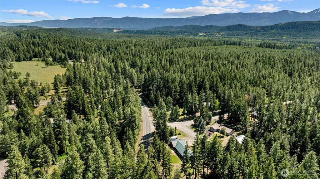 61 S Lake Cabins Road Ronald WA 98940
