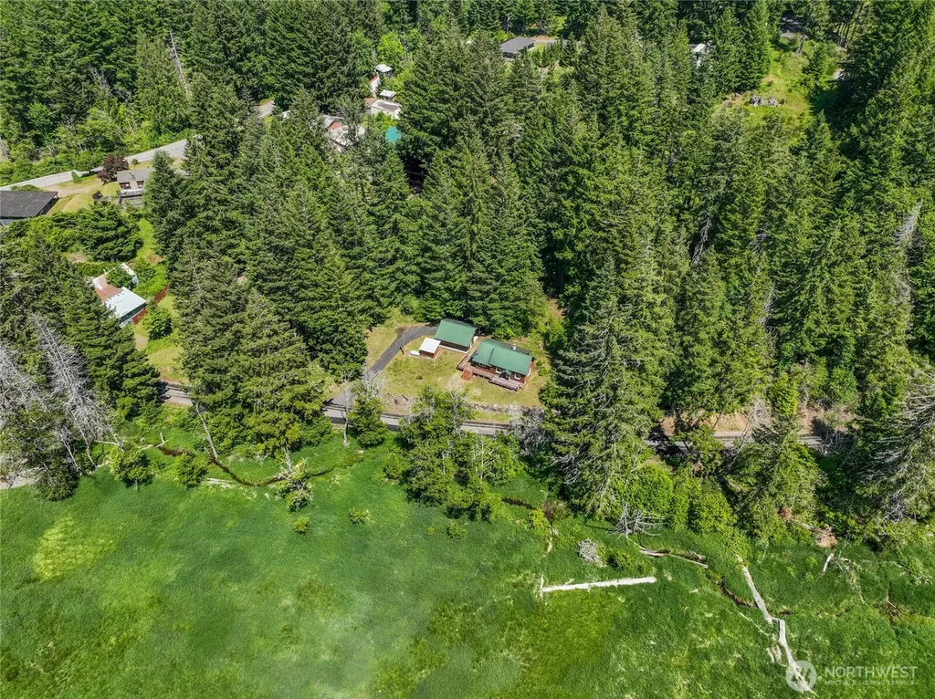 121 Powerhouse Road Packwood WA 98361