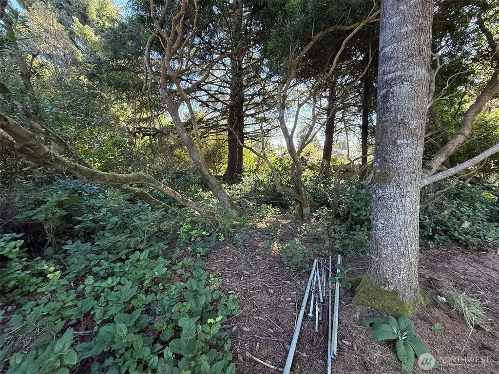 143 Aries Court SW Ocean Shores WA 98569