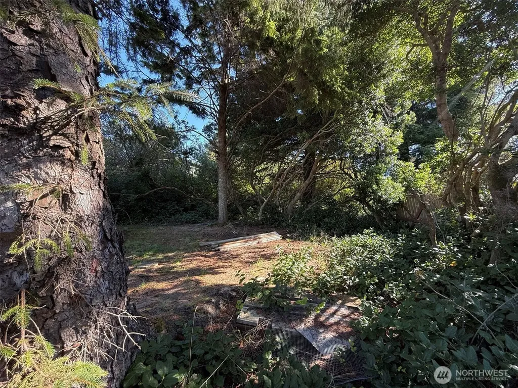 143 Aries Court SW Ocean Shores WA 98569