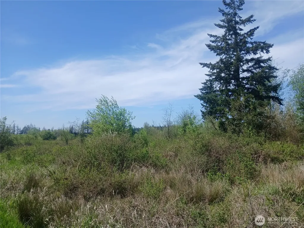 456 Meier Road Winlock WA 98596