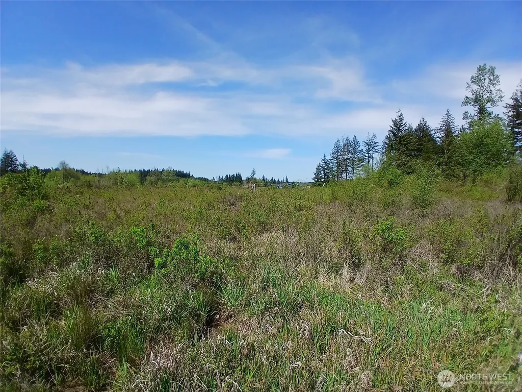 456 Meier Road Winlock WA 98596