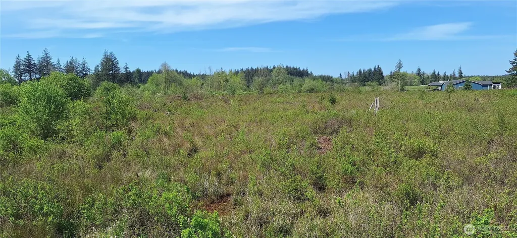 456 Meier Road Winlock WA 98596