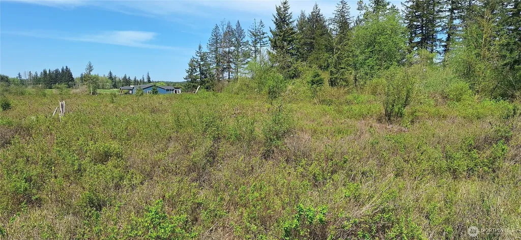 456 Meier Road Winlock WA 98596