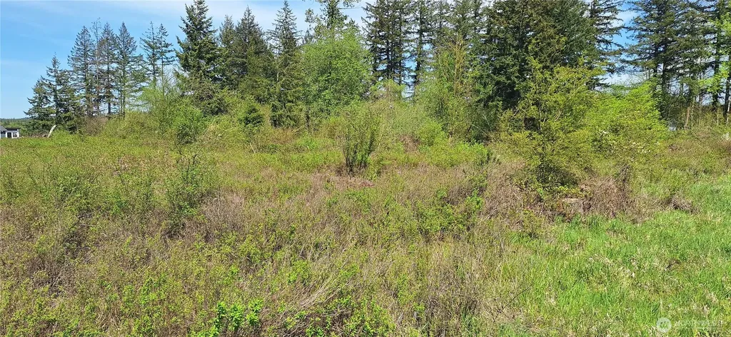 456 Meier Road Winlock WA 98596