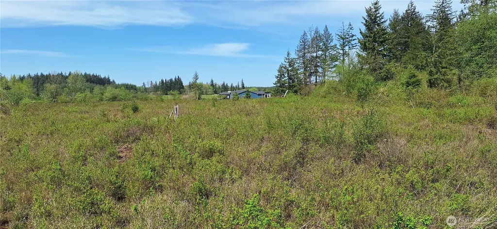 456 Meier Road Winlock WA 98596