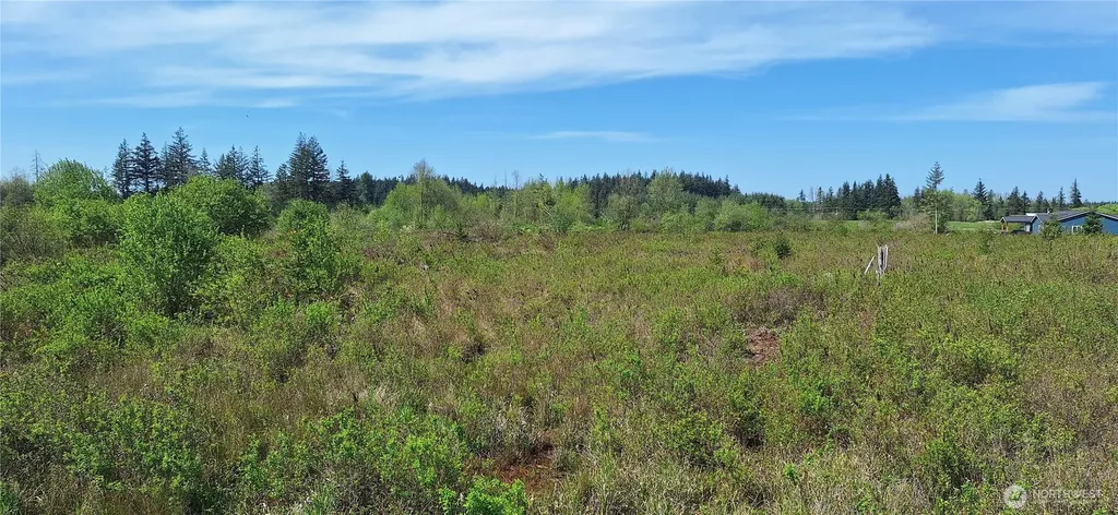 456 Meier Road Winlock WA 98596