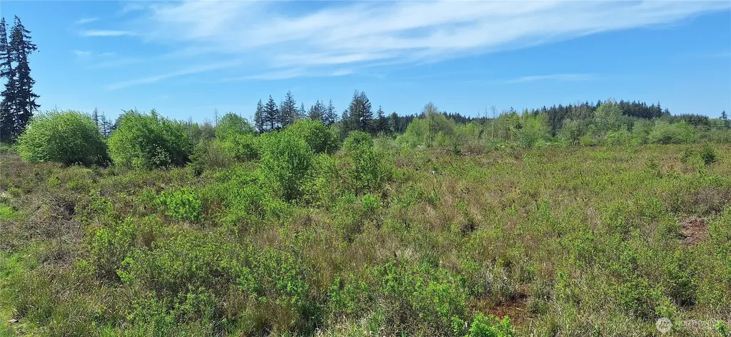 456 Meier Road Winlock WA 98596