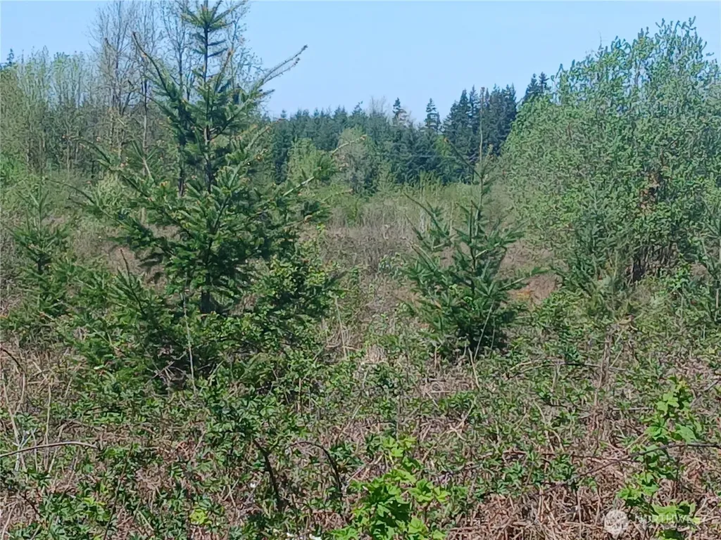 123 Meier Road Winlock WA 98596