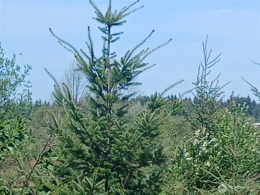 123 Meier Road Winlock WA 98596