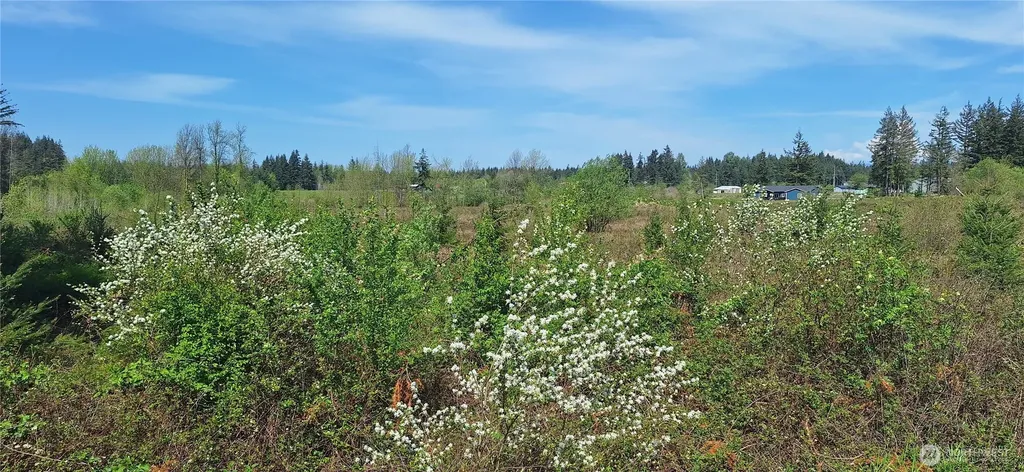 123 Meier Road Winlock WA 98596