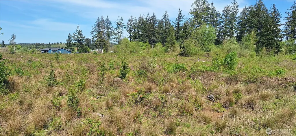 123 Meier Road Winlock WA 98596
