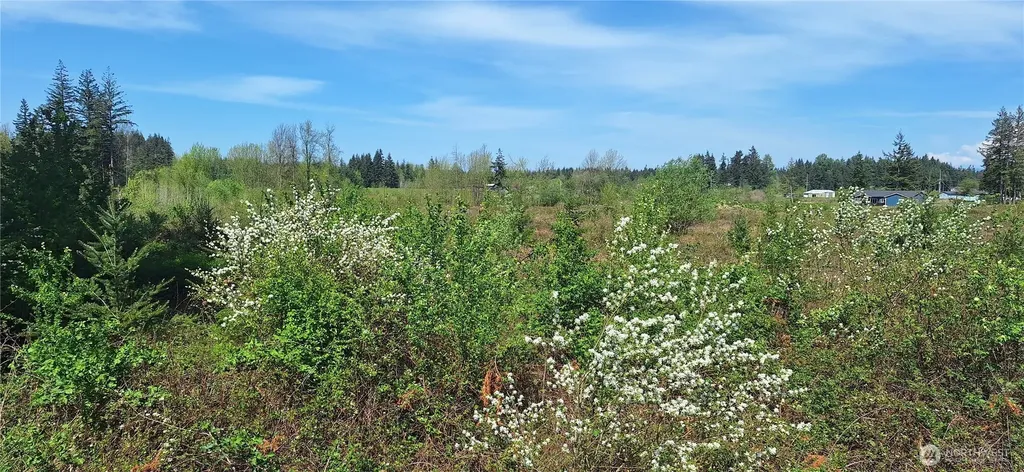 123 Meier Road Winlock WA 98596