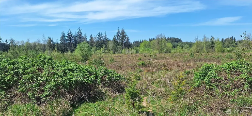 123 Meier Road Winlock WA 98596