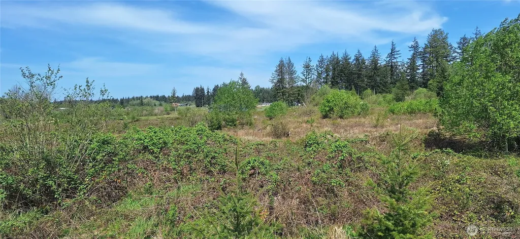 123 Meier Road Winlock WA 98596