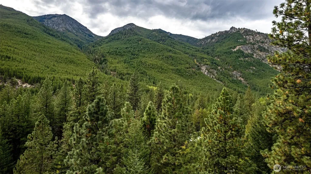 17972 Entiat River Road Entiat WA 98822