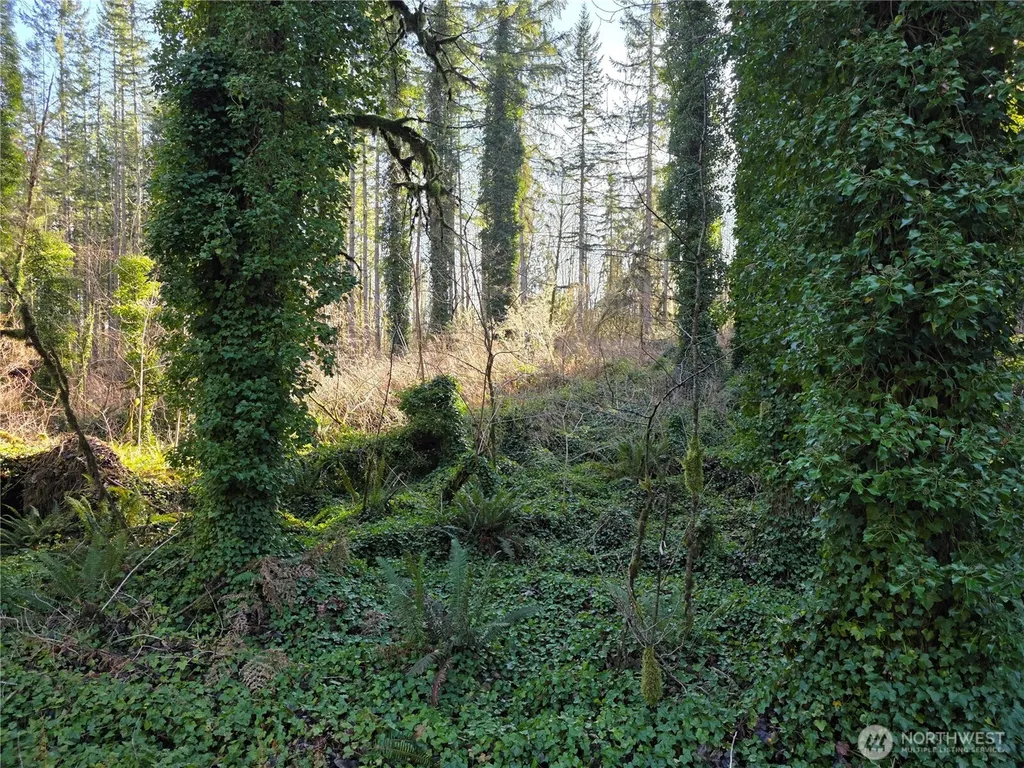 73 226th Avenue NE Granite Falls WA 98252