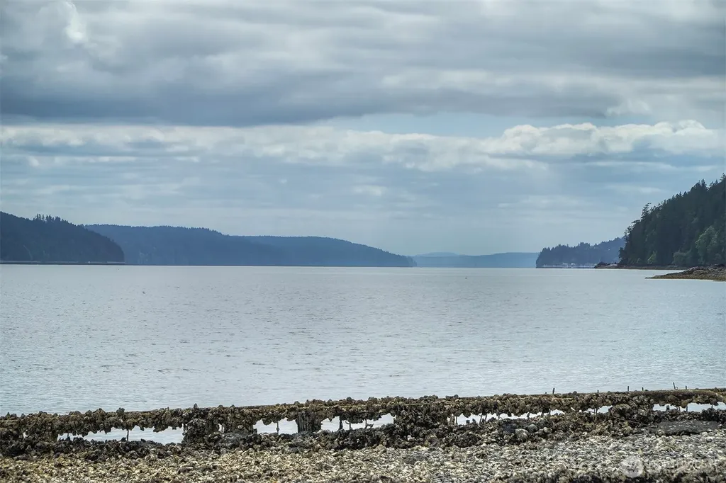 40590 N Us Highway 101 Lilliwaup WA 98555