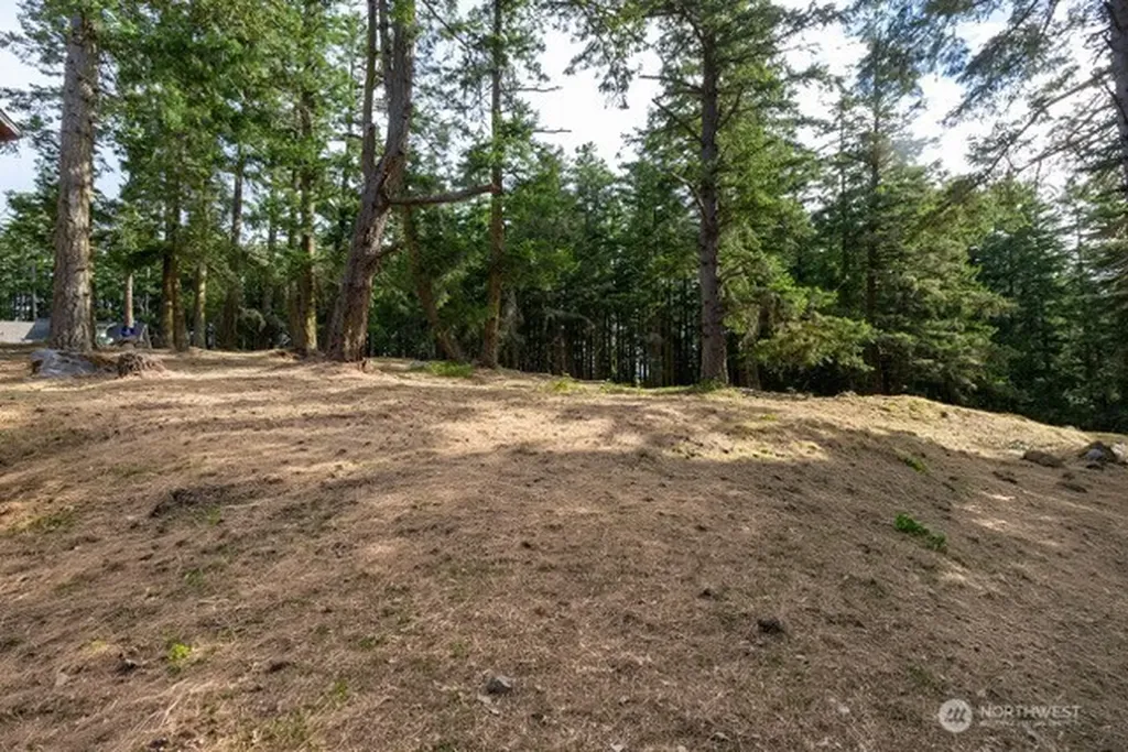 24 Mossyrock Road Friday Harbor WA 98250