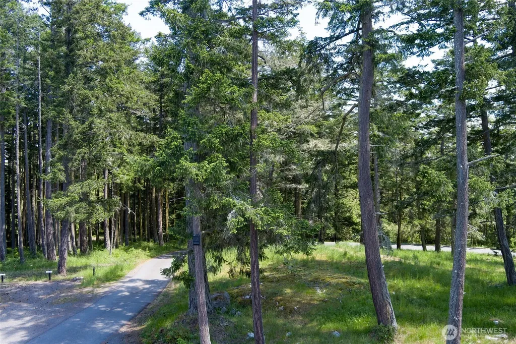 24 Mossyrock Road Friday Harbor WA 98250
