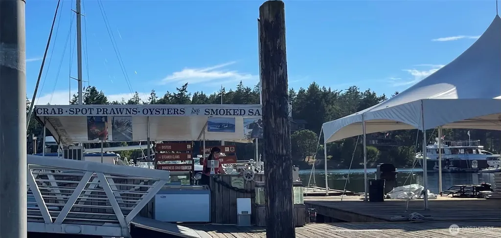 24 Mossyrock Road Friday Harbor WA 98250