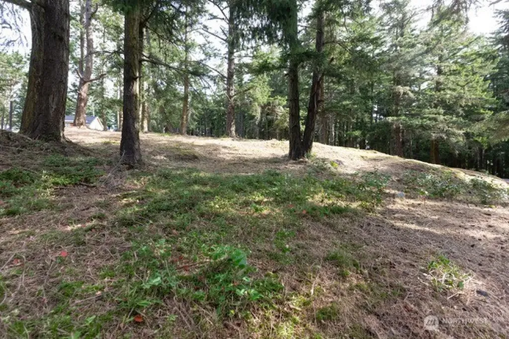 24 Mossyrock Road Friday Harbor WA 98250