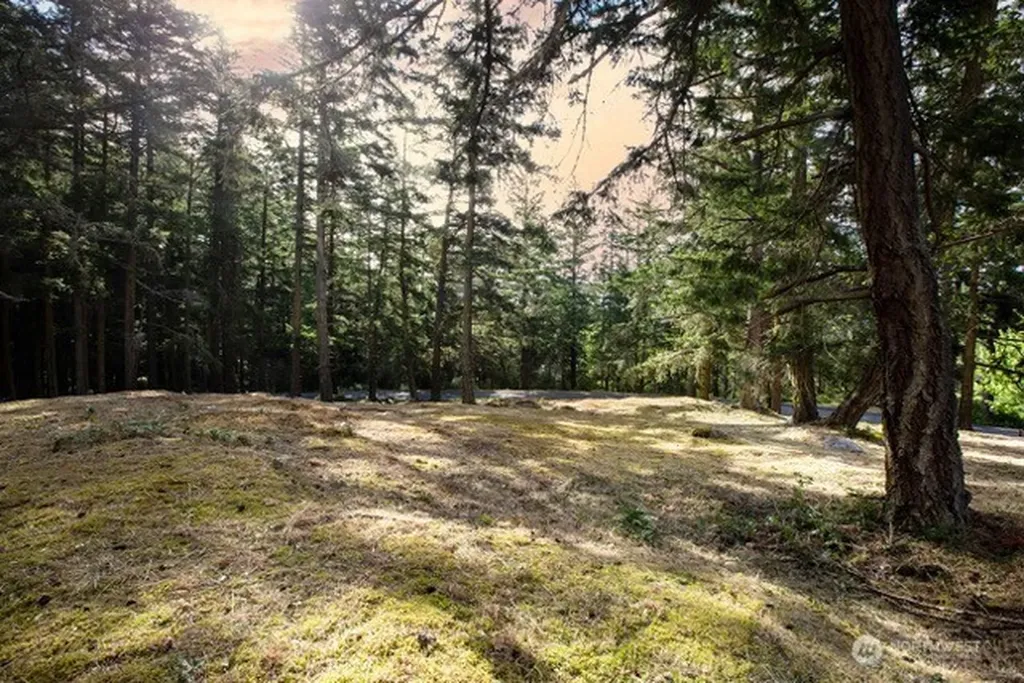 24 Mossyrock Road Friday Harbor WA 98250