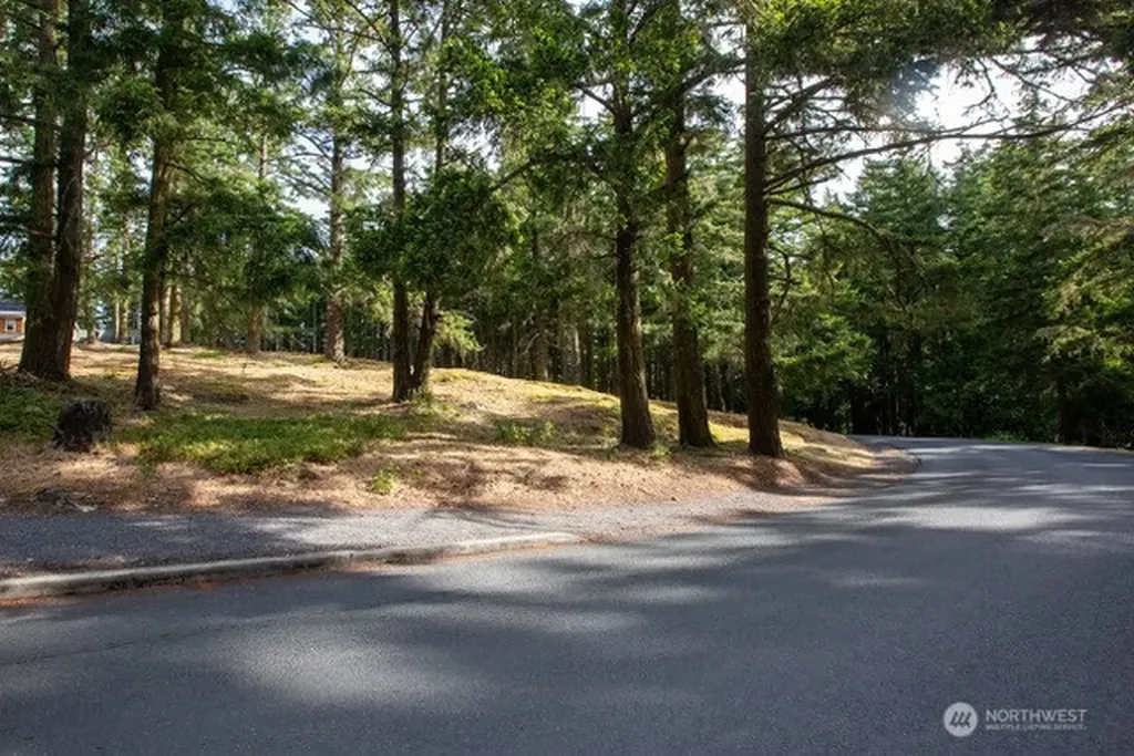24 Mossyrock Road Friday Harbor WA 98250