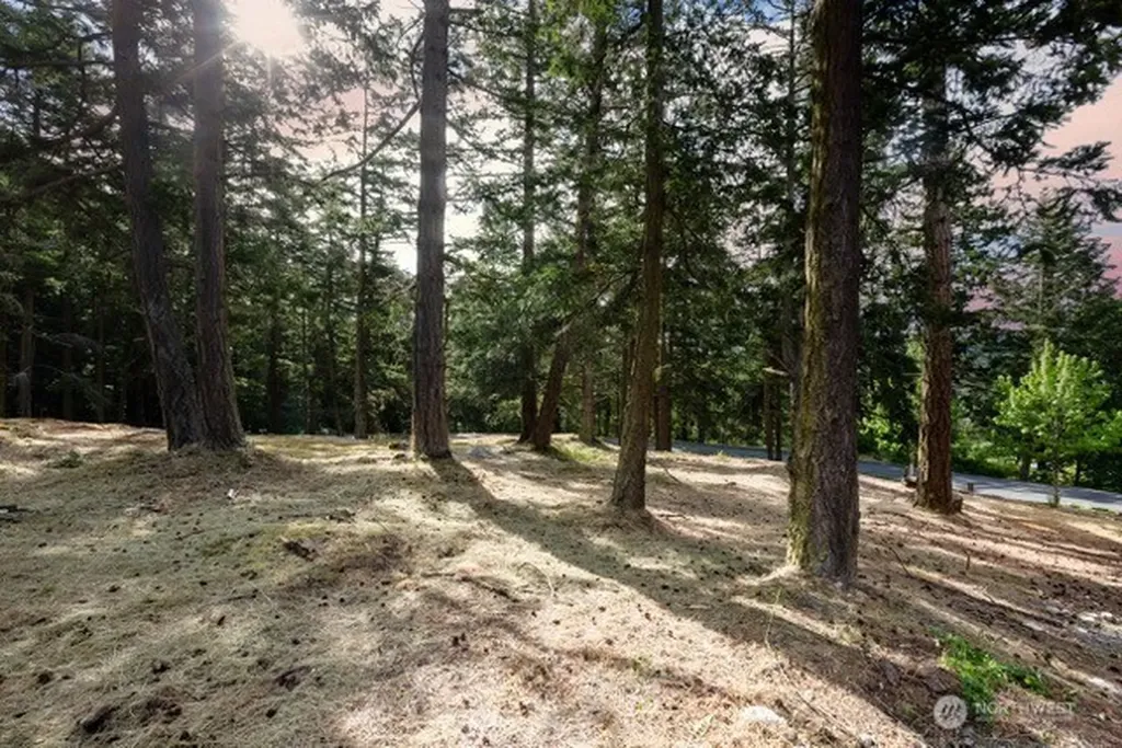 24 Mossyrock Road Friday Harbor WA 98250