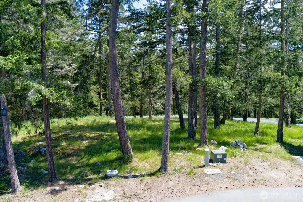 24 Mossyrock Road Friday Harbor WA 98250