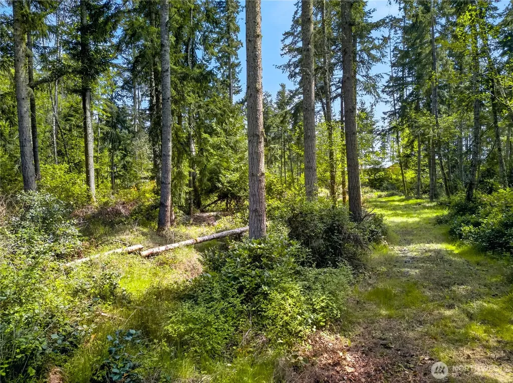 0 Evergreen Lane Freeland WA 98249