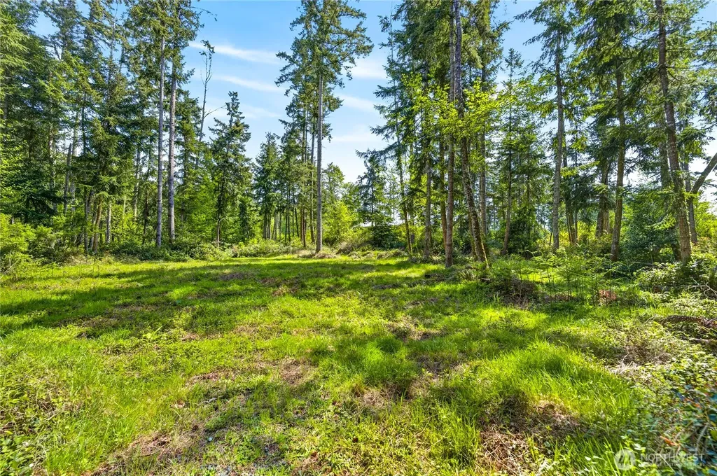 0 Evergreen Lane Freeland WA 98249