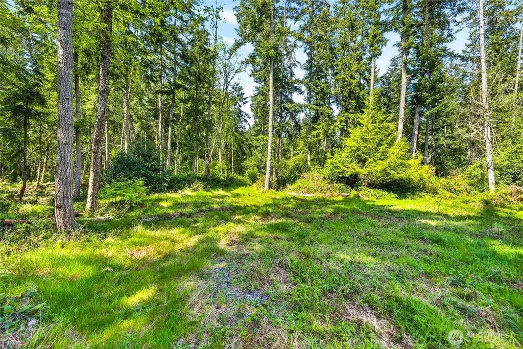 0 Evergreen Lane Freeland WA 98249