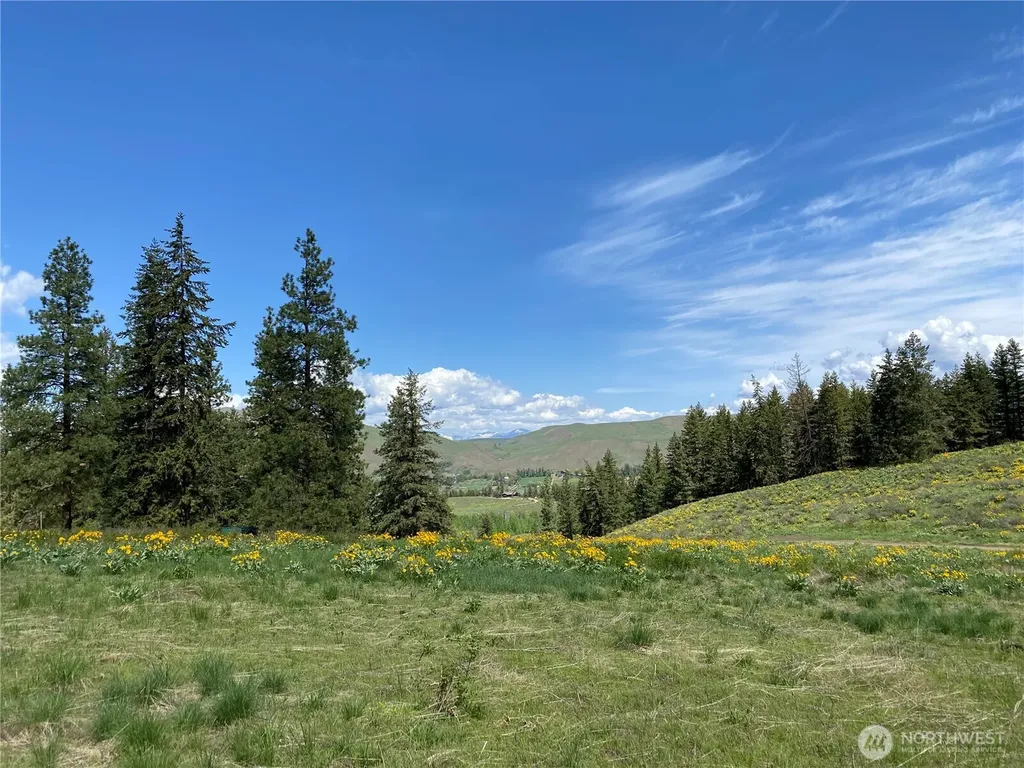 102 Elbow Canyon Road Twisp WA 98856