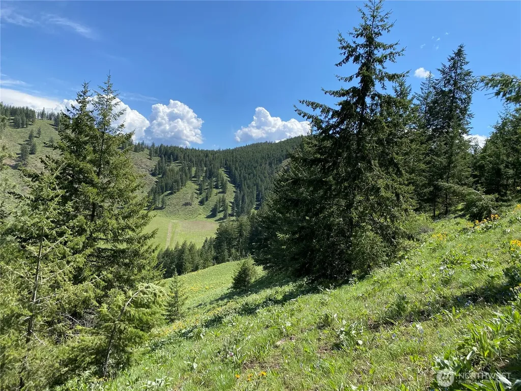 102 Elbow Canyon Road Twisp WA 98856