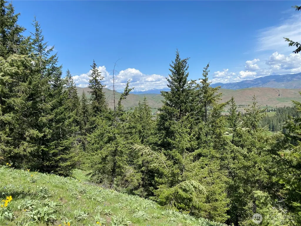 102 Elbow Canyon Road Twisp WA 98856