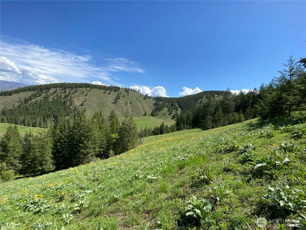 102 Elbow Canyon Road Twisp WA 98856