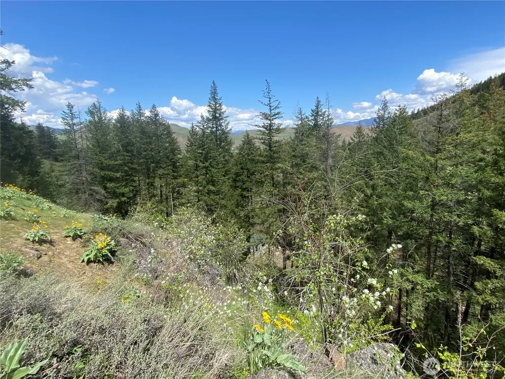 102 Elbow Canyon Road Twisp WA 98856