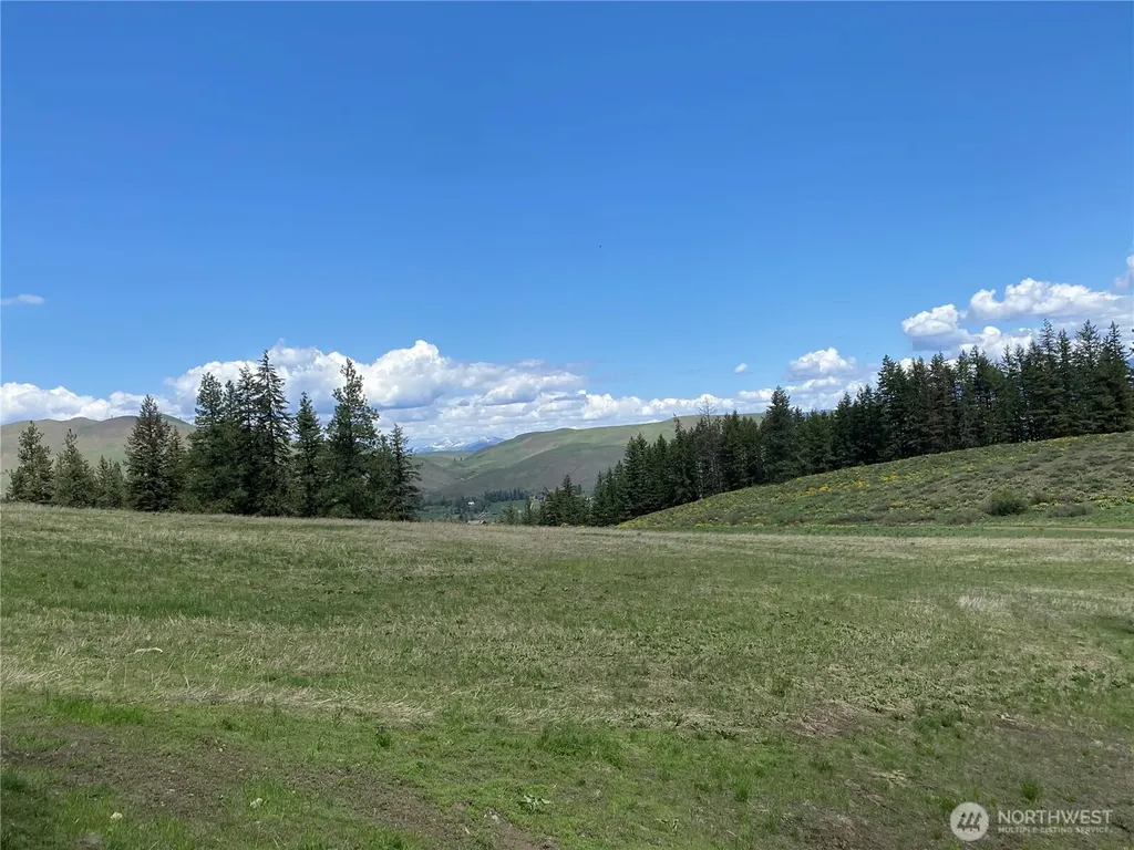 102 Elbow Canyon Road Twisp WA 98856