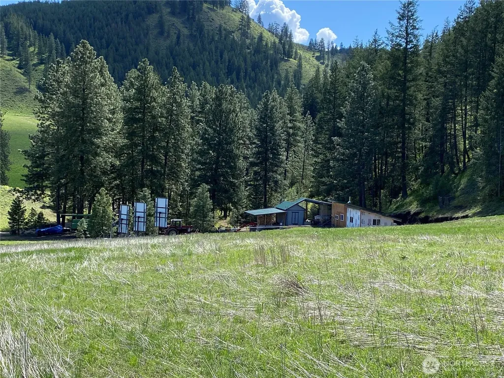 102 Elbow Canyon Road Twisp WA 98856
