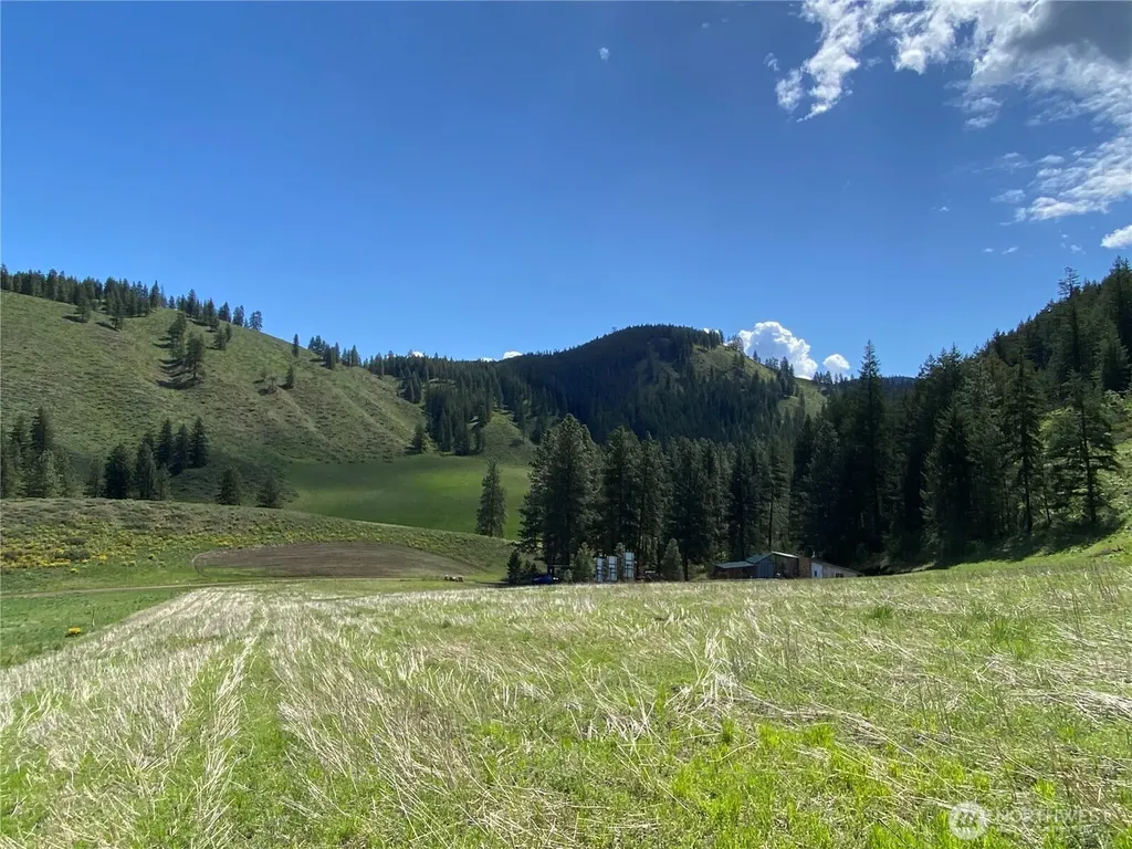 102 Elbow Canyon Road Twisp WA 98856