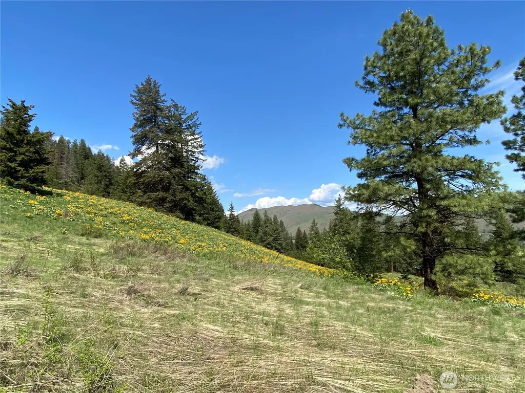 102 Elbow Canyon Road Twisp WA 98856