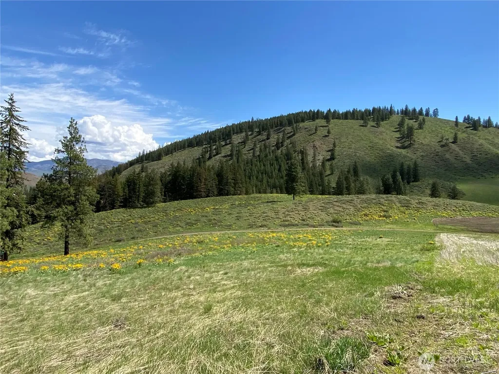 102 Elbow Canyon Road Twisp WA 98856