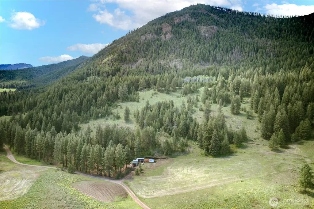 102 Elbow Canyon Road Twisp WA 98856