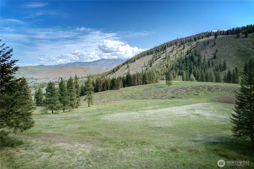 102 Elbow Canyon Road Twisp WA 98856